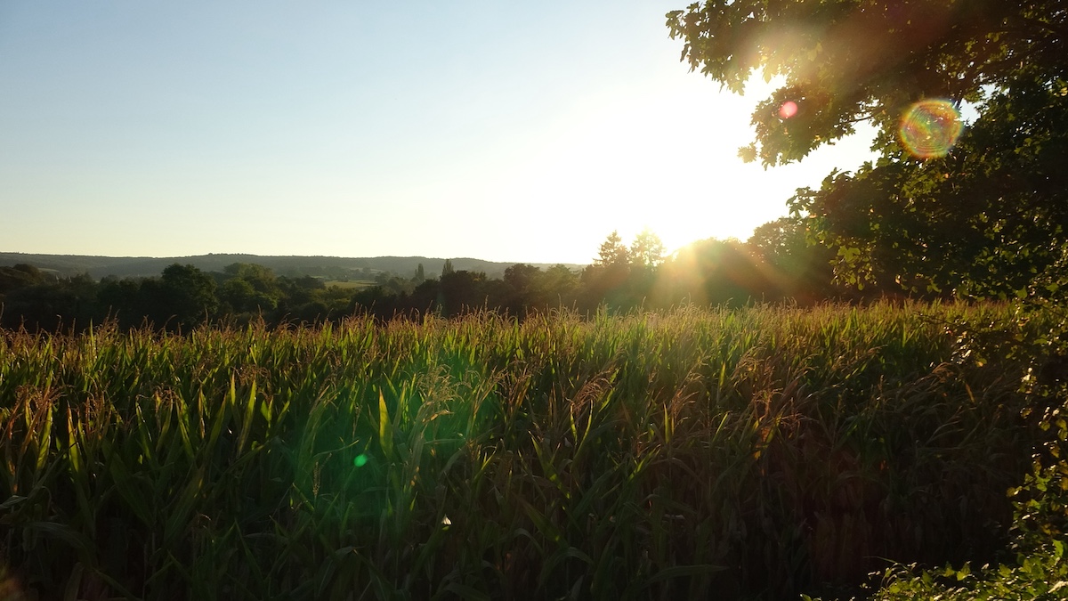 Natuur